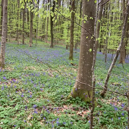 Semesterbostad Longere Au Numero 7 Le Tronquay (Eure)